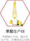 果醋生產(chǎn)線(xiàn)